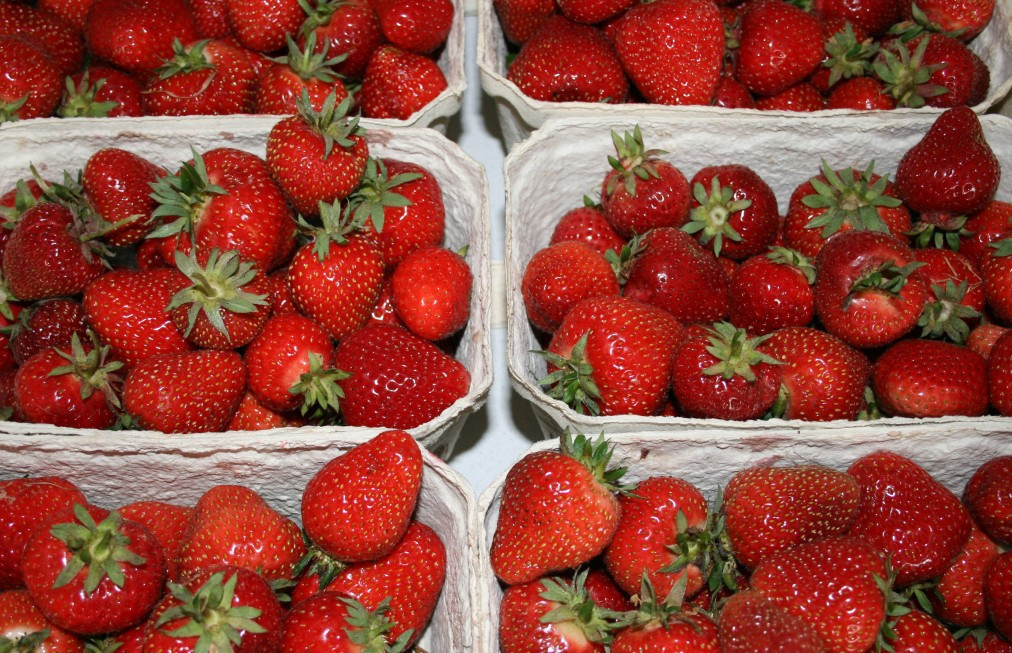 15 kg Erdbeeren